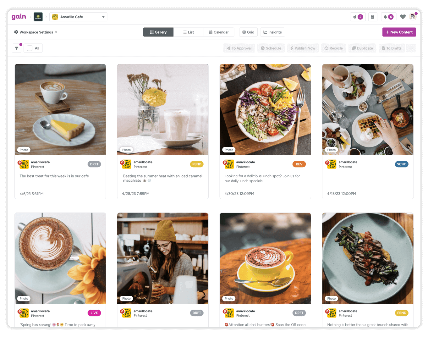 A dashboard inside Gain displays social media content in various stages of approval