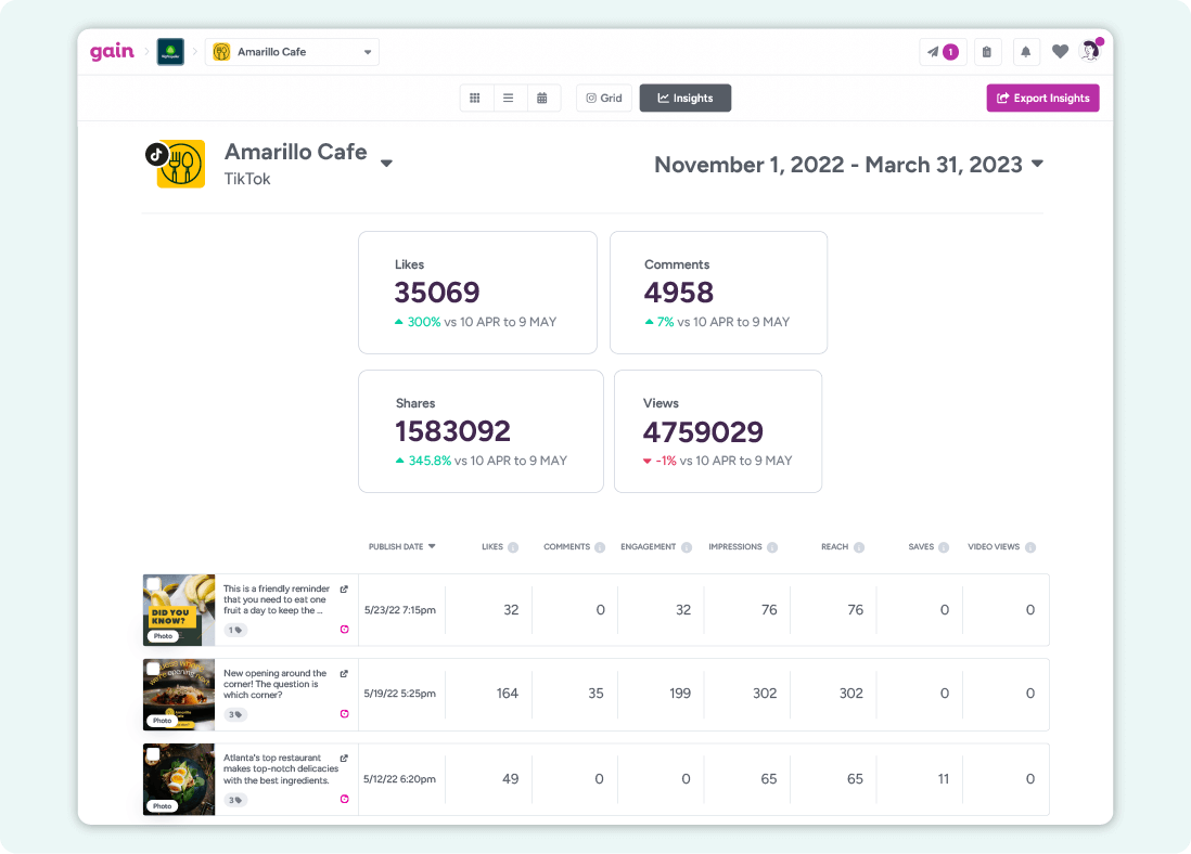 A screenshot of the Insights feature in Gain, displaying performance data for TikTok posts in an account, including Likes, Reactions, Comments, and more.